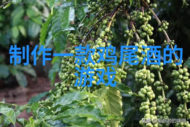 品尝意大利朗格地区备受关注的2019年巴罗洛葡萄酒收藏的雅称在物品展览中闪耀