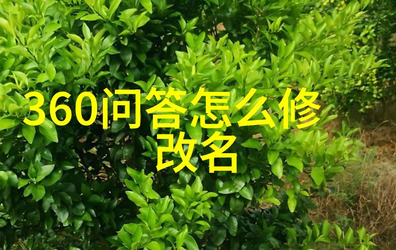 问答app有哪些从简单到神奇的数字助手揭秘它们背后的反差故事