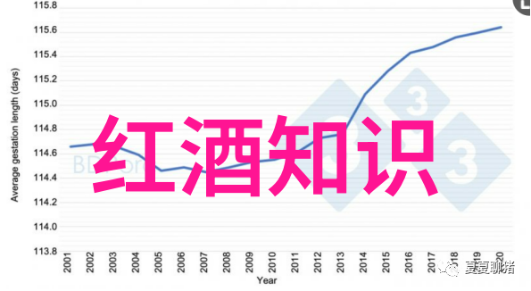 探索收藏之旅-揭秘我的收藏中心打开宝库的奇妙世界