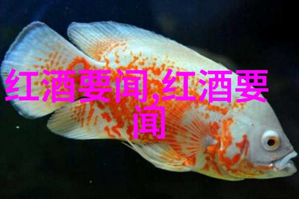 上海周边宜居小城市我眼中的金山探秘那些隐藏在上海周边的宜居小城