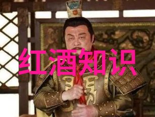 绚烂的玫瑰世界品种大全图解探秘