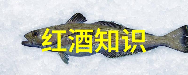 城市与田野交汇点深入了解上海周边优质民宿农家乐