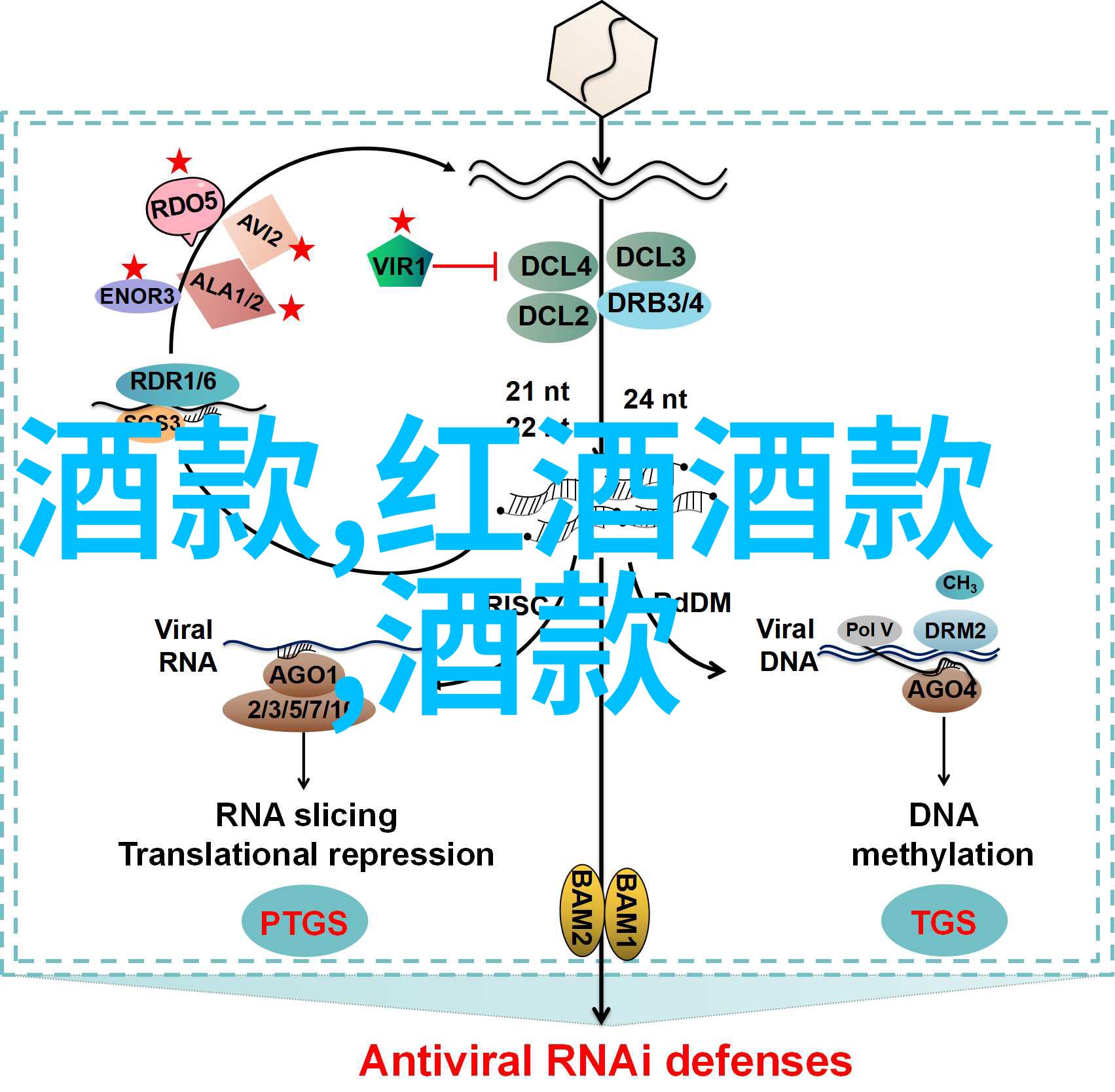 在镜头下现代人物图片真人背后有多少秘密等待揭开