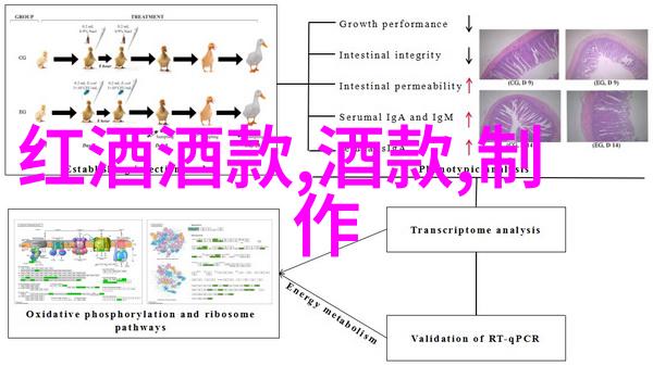 趣味抢答题知名歌手粉丝团体火箭少女101成员名字