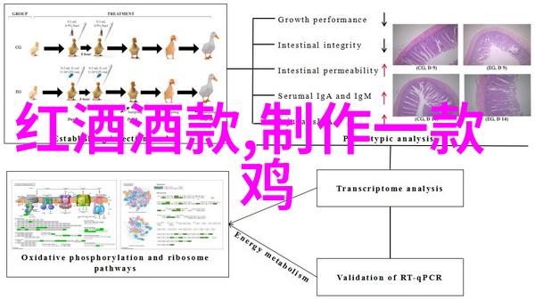 玉米品种概览结构与多样性分析