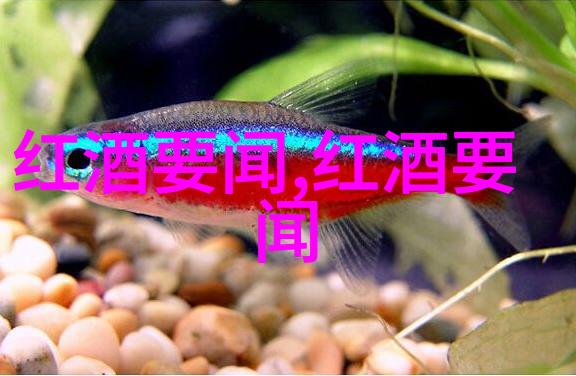 孽徒为师背后的秘密与腰痛的代价