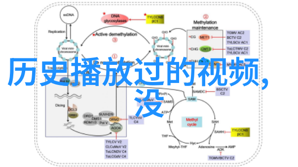 xXXXXL2022超级星际探险大赛2022