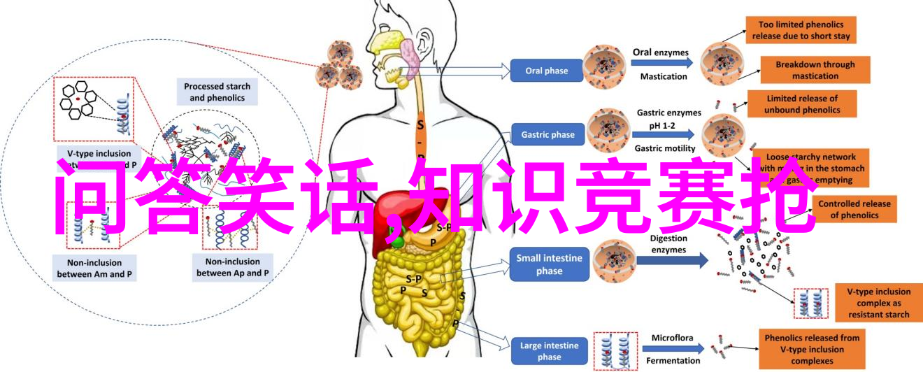 中国葡萄酒简介揭秘法国葡萄酒的悠久历史