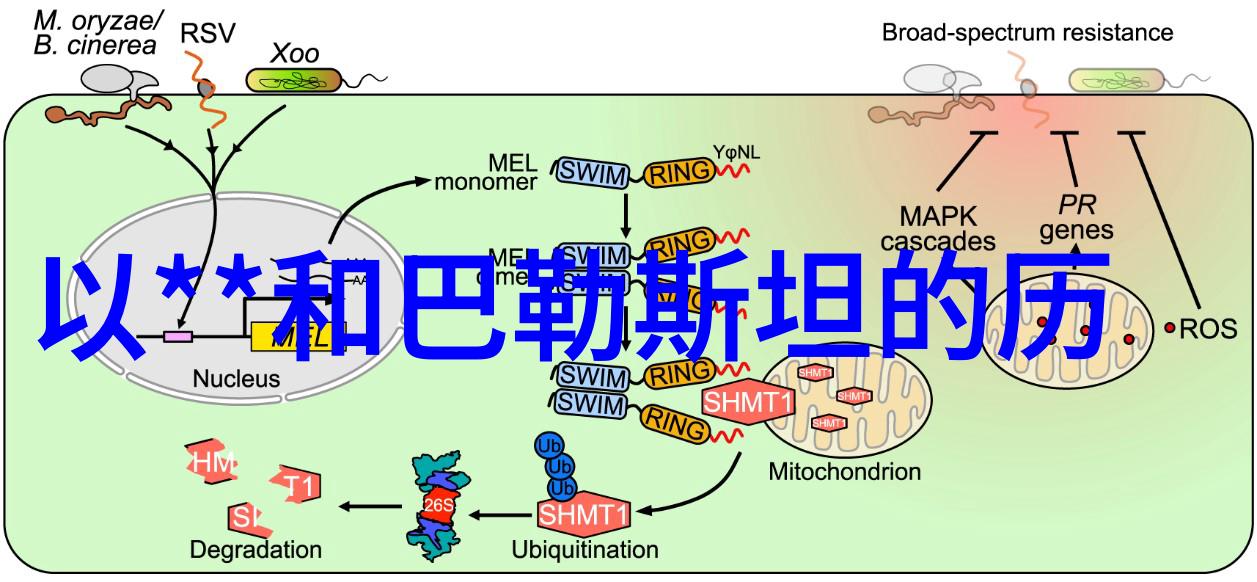 紫墨流光里的秘密花园一个迷人的少女形象诞生记