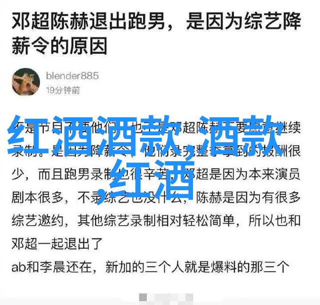 红酒与人生的温馨交融品味生活的艺术