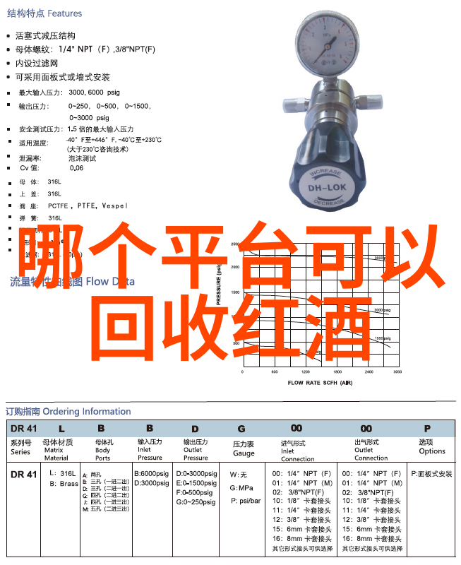 胡慧中文学与人生之旅的探索者