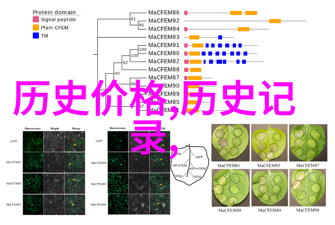 从古典到现代人物塑造技巧有什么样的进化历程