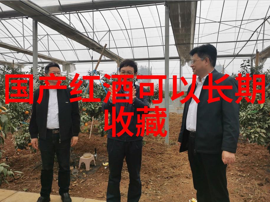 我来解释非核心产区你知道这些地方的秘密吗