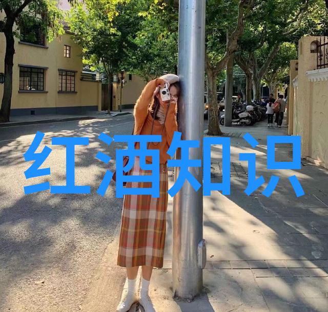 东南亚少女说唱界的挑战与反击剖析一场风暴的背后