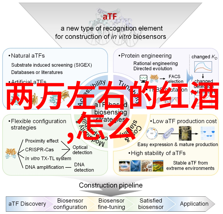 失落的古卷四年级探秘历史人物的神秘往事