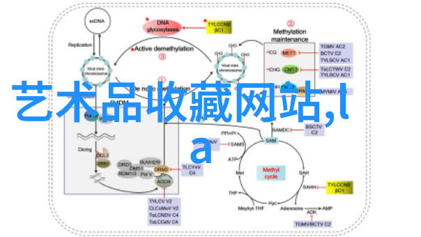 深度解析当前市场上的主要指数基金种类与选择指南