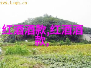 花卉文化-绚烂盛开全球玫瑰品种排行榜的魅力与挑战