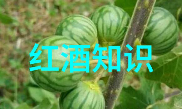 2017赤霞珠干红葡萄酒在不同温度下饮用效果如何