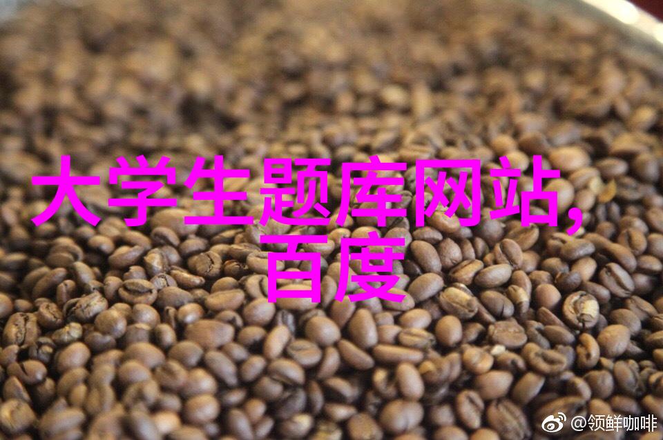 夜幕下的未知传闻揭开城市深层的秘密